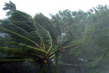 Be cautious of strong winds - Met. Department