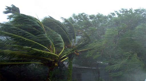 Showery condition continues