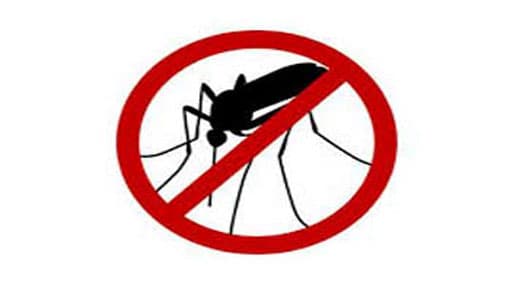 Dengue claims 327 lives; Min. of Health to execute swift action plan