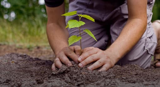 Manusath Derana brings Nature Force project to next level