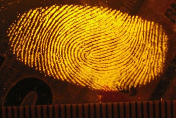 Police to introduce automated fingerprint identification