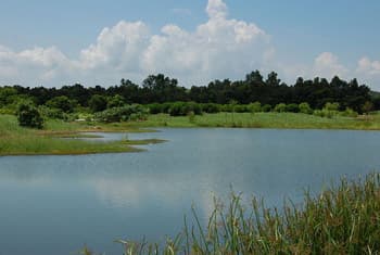 Urban Wetland Park opening postponed to Sat