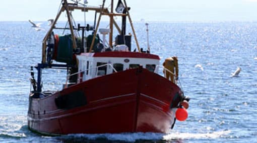 Nets of Sri Lankan fishermen wash ashore in TN