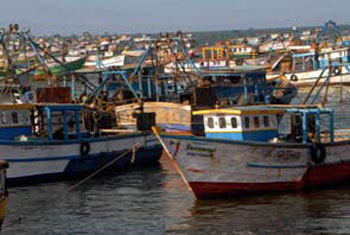 Impounded boats will be returned: forum