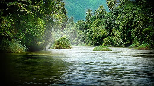 Signs of decrease in water levels of Kelani River - Irr. Dept