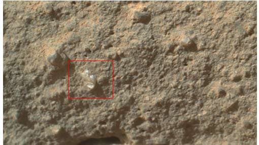 NASA’s Curiosity rover finds ‘flower’ on surface of Mars