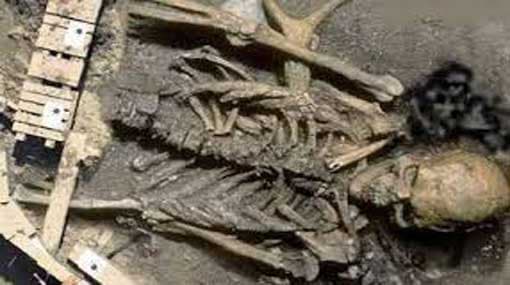 Bone fragments found in forest in Saliyawewa