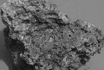 Evidence of extraterrestrial life on meteorite found in Sri Lanka - Scientists claim