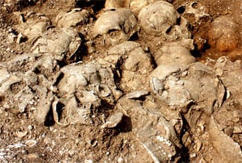 CID record statements regarding Matale mass grave