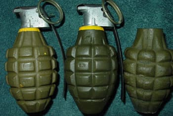 Police find four grenades in garbage heap in Mattegama