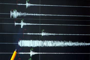 Powerfull earthquake hits New Zealand