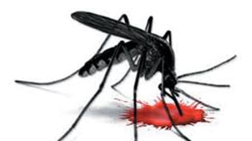 66 Schools closed over Dengue outbreak