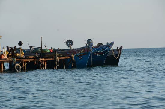 28 Indian fishermen arrested by Sri Lankan Navy