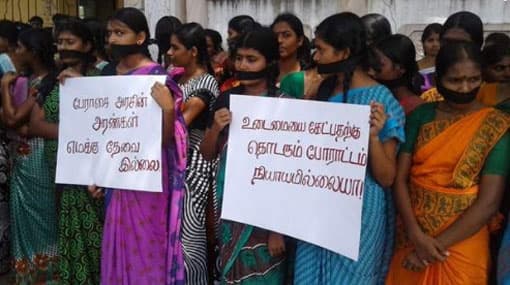 TN’s apolitical Jallikattu stir inspires Sri Lankan protesters