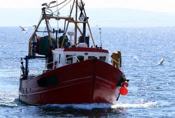 Indian fishermen want search operation in Sri Lankan waters