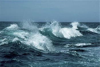 Met Department warns of rough seas and showers