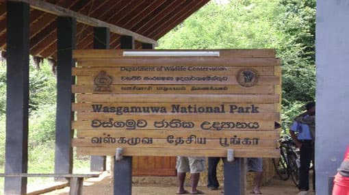 Weapons stored at Wasgamuwa National Park Office go missing