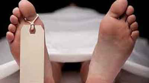 Fifty-five year old dies after being crushed under tree