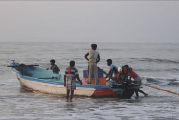 11 Sri Lankan fishermen arrested in Andra Pradesh