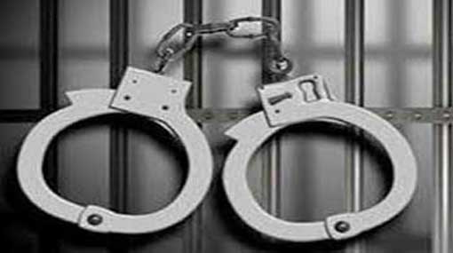 Five arrested over illegal treasure hunt