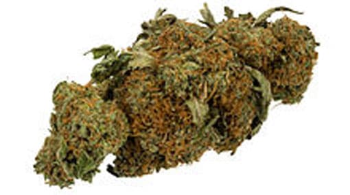 Rs.6 million of Kerala Cannabis found in Negombo