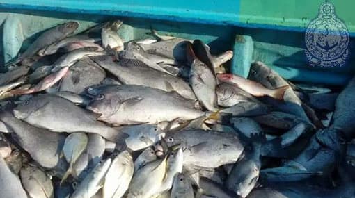 22 local fishermen arrested for engaging in illegal fishing