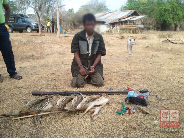 Vice principal arrested for hunting, killing 6 spotted mouse-deer