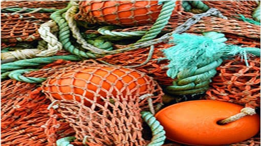 Sri Lankan Navy accused of cutting fishing nets of TN fishermen