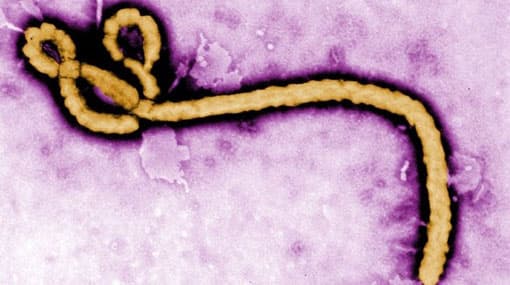 World Bank approves $285 million to fight Ebola