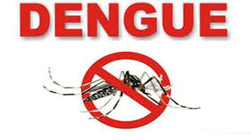 65 deaths this year from dengue outbreak