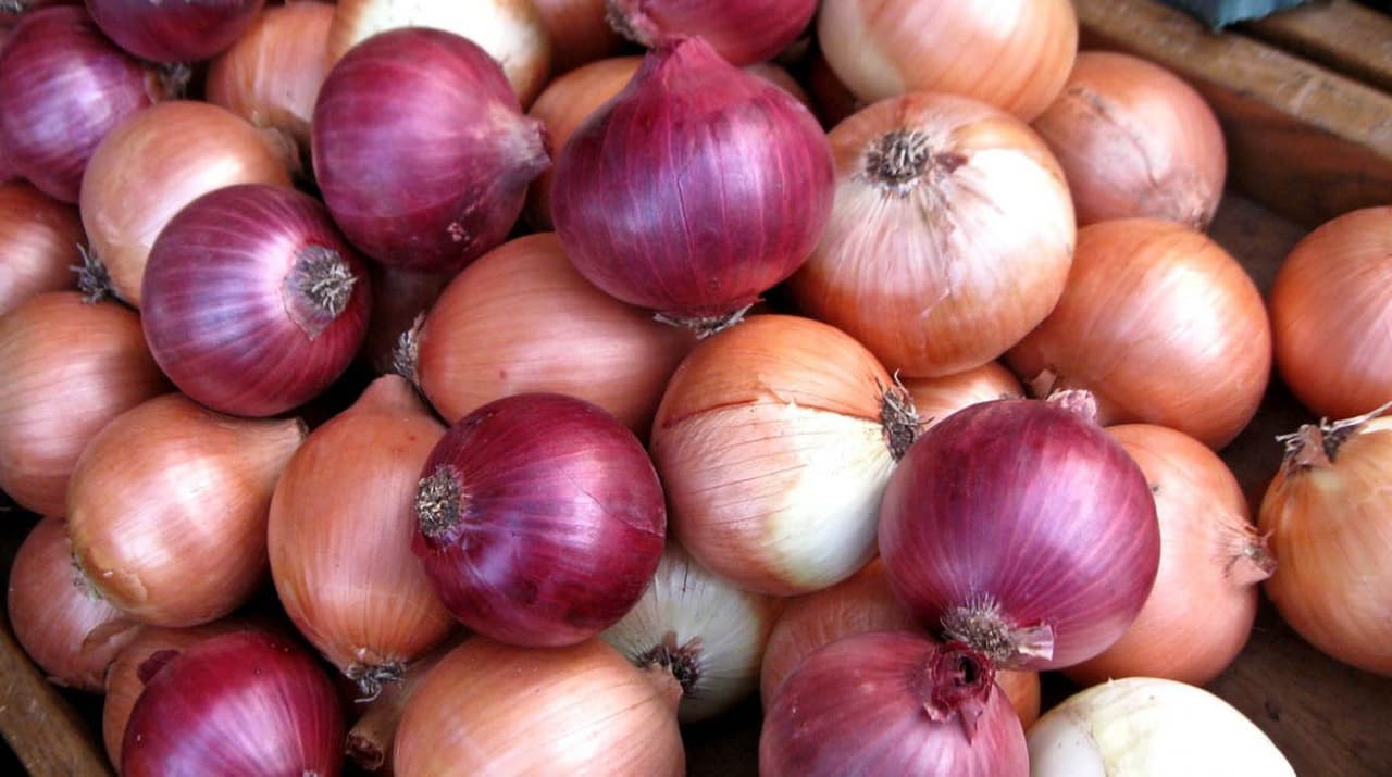 Import tax on Big Onions has been increased