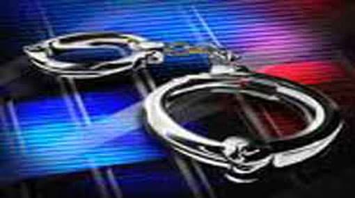 Illegal racket of sea cucumbers and shark fins: 2 arrested