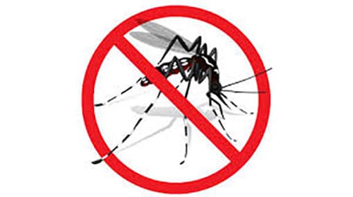 Mosquito larvae discovered in 298 schools