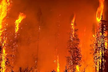 Fire destroys almost 200 acres in Nawalapitiya