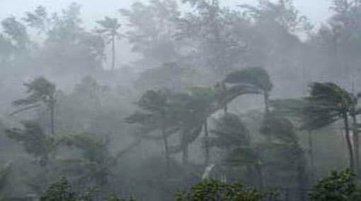 45 houses damaged by strong winds