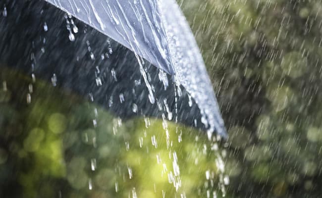 Wet weather to continue - Met. Department