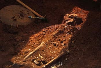 Skeletal remains to be sent to US for carbon dating