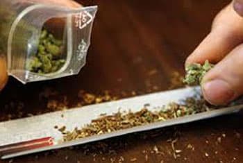 Three marijuana dealers arrested in Kalpitiya