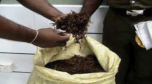 17850 kg of tea unfit for consumption seized in Mawathagama