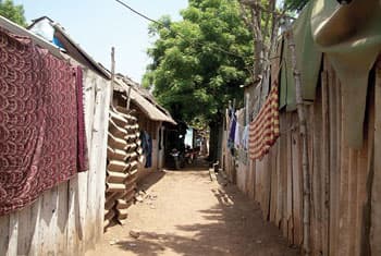 Would rather die than go back to Lanka - Refugee