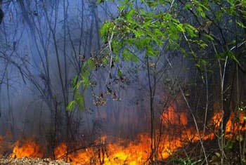 Fire breaks out at Maduru Oya reserve
