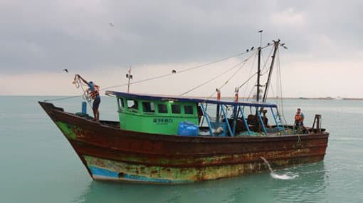 Navy arrests 13 Indian fishermen poaching in Sri Lankan Waters