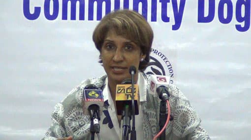 Animals deserve more rights than what they have today - Otara