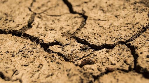 UNICEF appeals for $1m funding for Sri Lanka drought