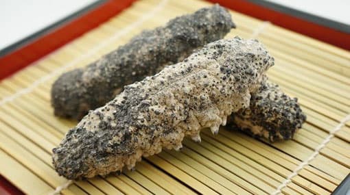 Attempt to smuggle sea cucumber to Sri Lanka foiled