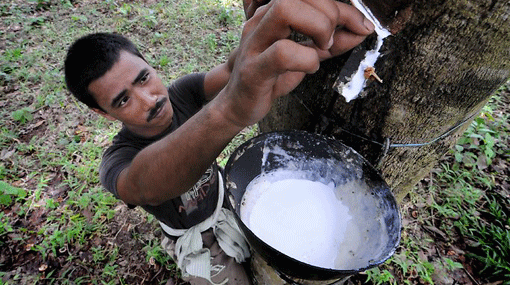 Kerala to train Lankan rubber technicians