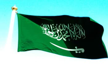 Saudi amnesty: 15,000 illegal Lankan workers return home