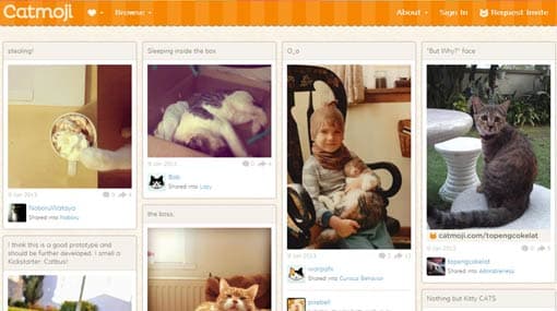 Malaysia launches social network for cats