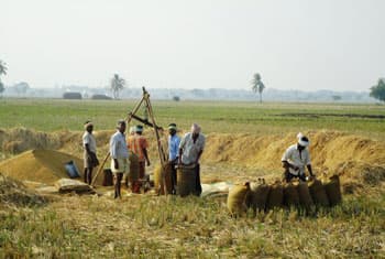Sri Lanka may use Indian farmhands due to labour shortage
