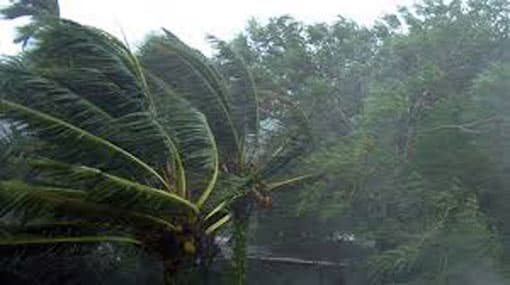 Heavy rainfall likely to continue - Met Dept
